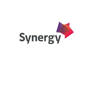 Synergy - Next Steps Veteran Recruitment Program